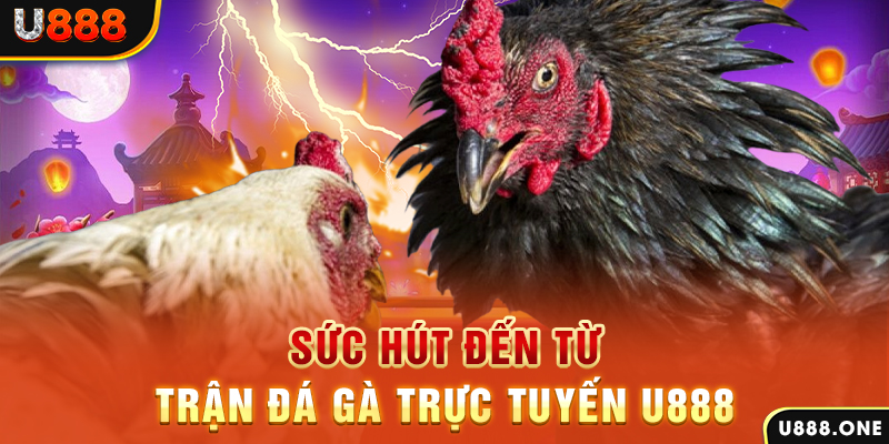 98win76 đá gà trực tiếp c1