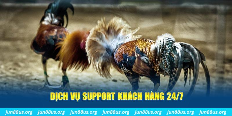 ÁT CHỦ BÀI GIÀNH LẤY ZHUANG NIUNIU ( XEM 4 LÁ )