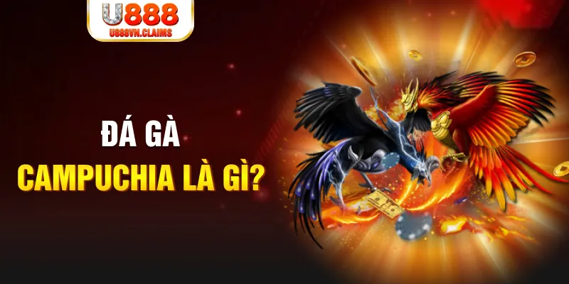 98win76 bắn cá vàng h5