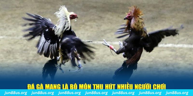 98win76 bắn cá au88