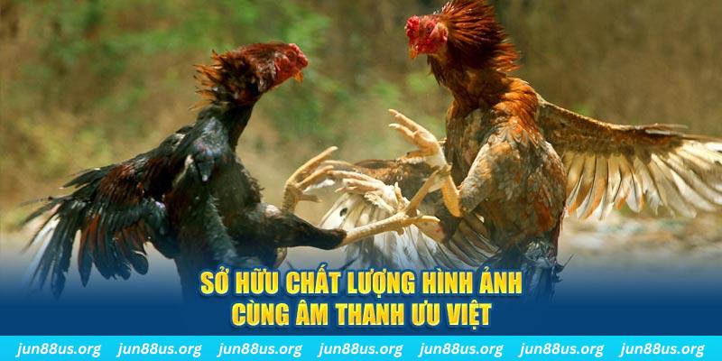 98win76 PP Điện Tử