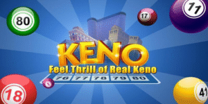 98win76 gà chọi c1 thomo