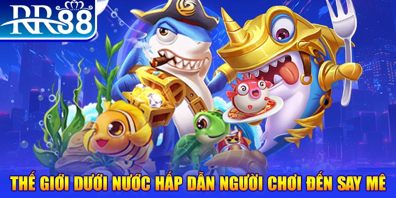 nỗ hũ là gì
